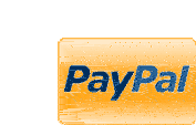 carte paypal icone